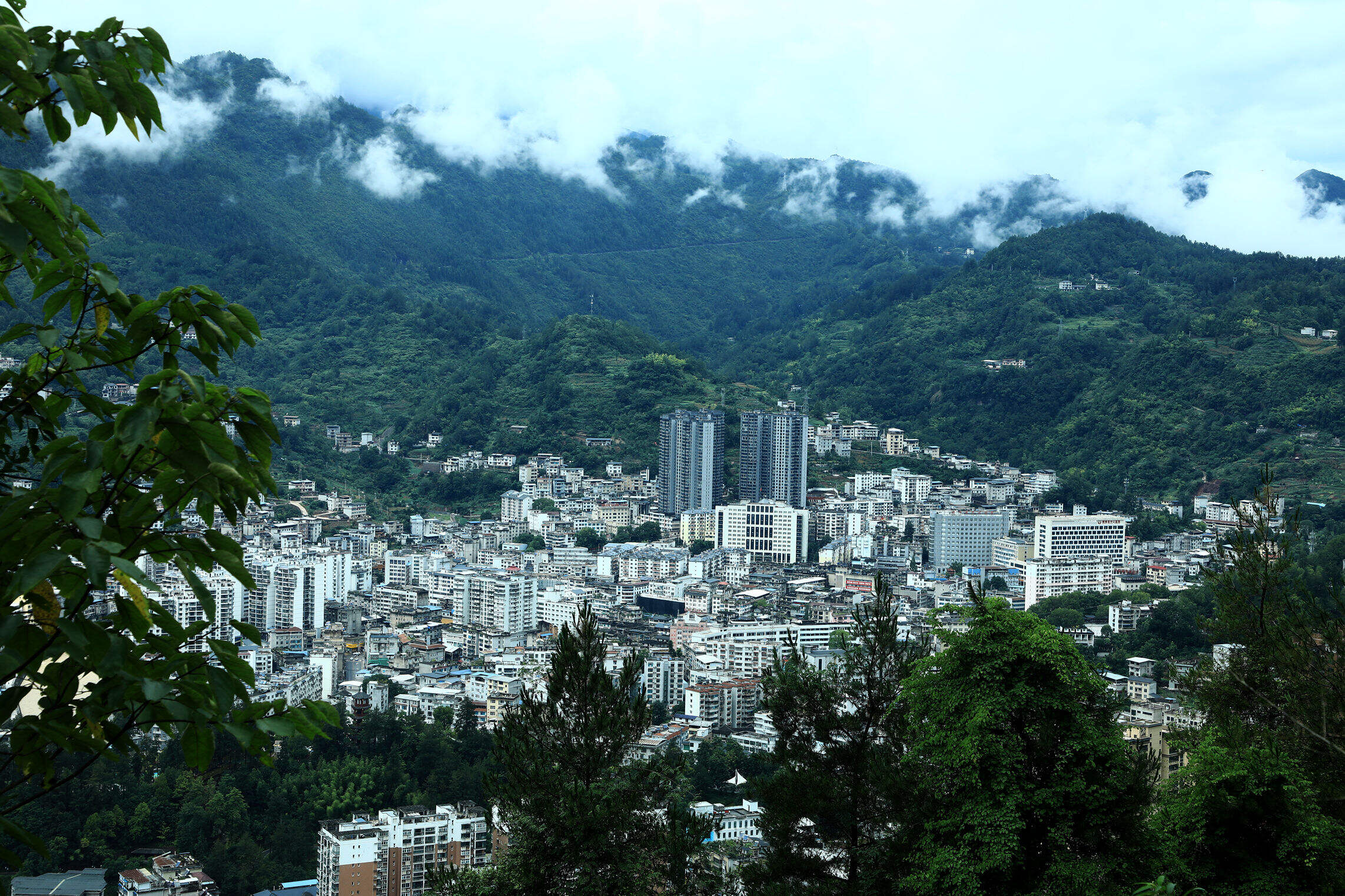 中国鹤峰网·湖北鹤峰县新闻网