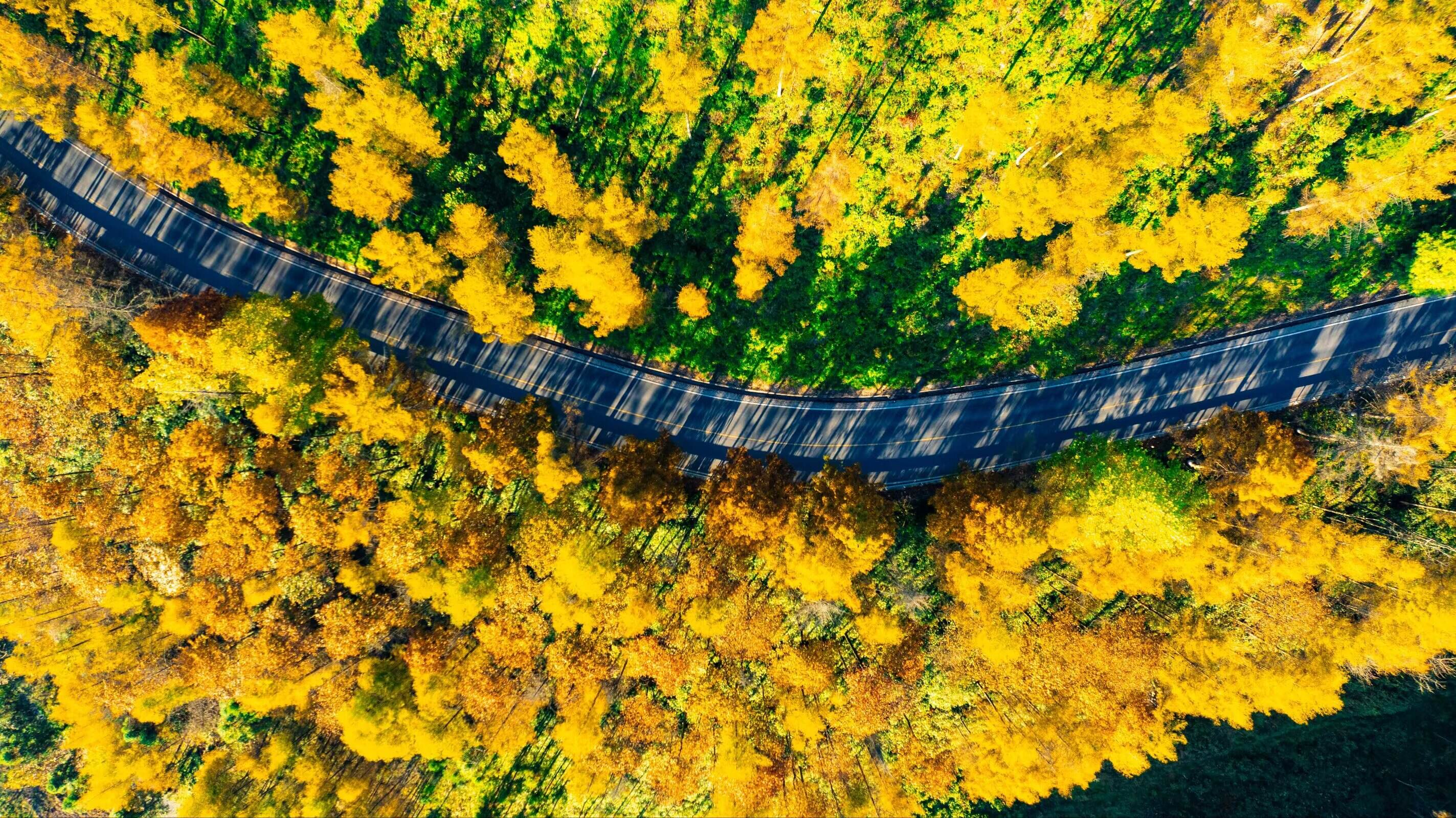 【回望“十四五”】健石